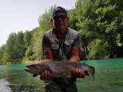Sava Rainbow trout Slovenia f